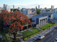 Câmara de Guarapuava analisa projetos sobre proteção social, segurança de crianças e incentivo ao esporte