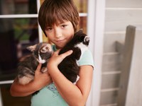 Câmara de Guarapuava aprova projeto que institui programa de educação humanitária e bem-estar animal nas escolas municipais