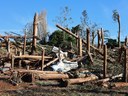 Câmara de Guarapuava aprova requerimento para uso emergencial de madeira derrubada no tornado