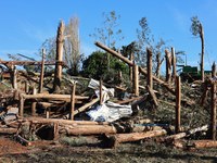 Câmara de Guarapuava aprova requerimento para uso emergencial de madeira derrubada no tornado