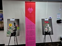 Câmara de Guarapuava exibe exposição “Clã das Cicatrizes” no Outubro Rosa 