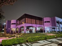 Câmara de Guarapuava vota em segunda discussão projetos sobre segurança infantil, cultura e sustentabilidade nesta terça-feira (14/10)