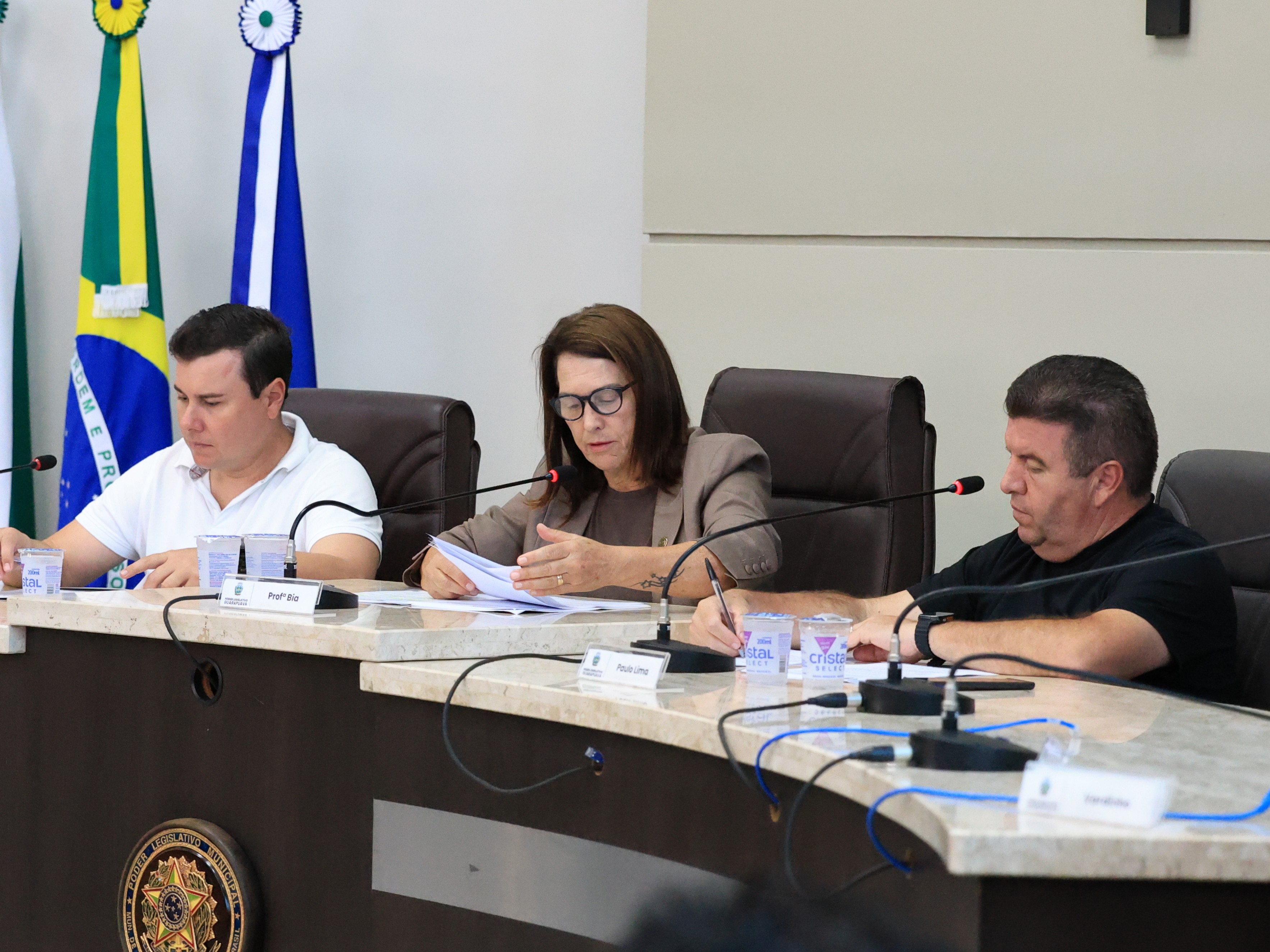 Comissão de Legislação, Justiça e Redação analisa 13 projetos de lei em reunião ordinária