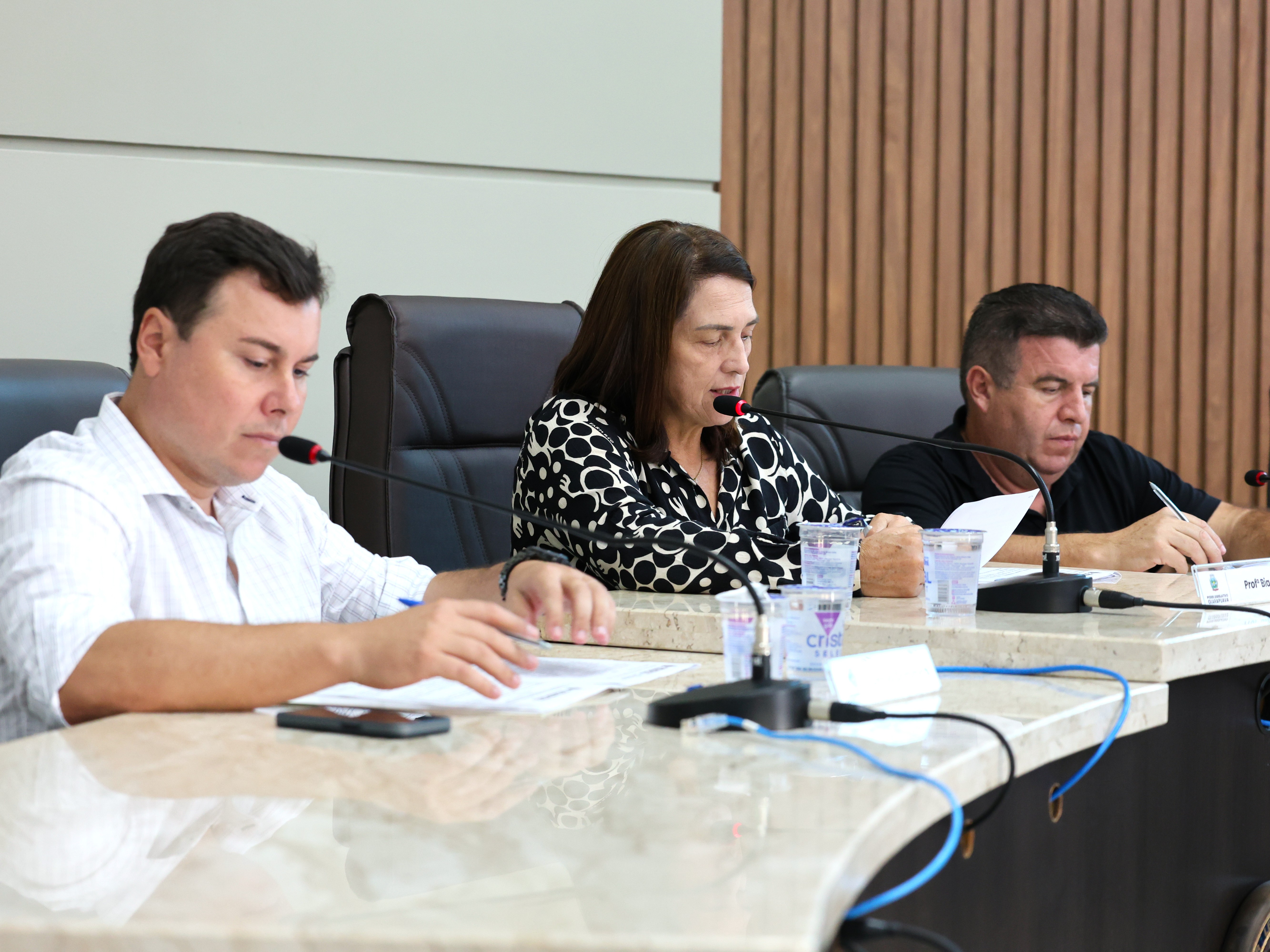 Comissão de Legislação, Justiça e Redação analisa oito projetos de lei e dois pedidos de veto em reunião ordinária