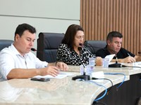 Comissão de Legislação, Justiça e Redação analisa oito projetos de lei e dois pedidos de veto em reunião ordinária