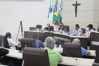 Médicos falam a Vereadores sobre tratamento imediato à covid-19 em Guarapuava