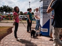 Requerimento aprovado pede a instalação de Smart Totens em Guarapuava