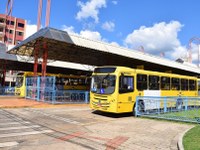 Requerimento pede transporte público gratuito durante a Festa da Cevada