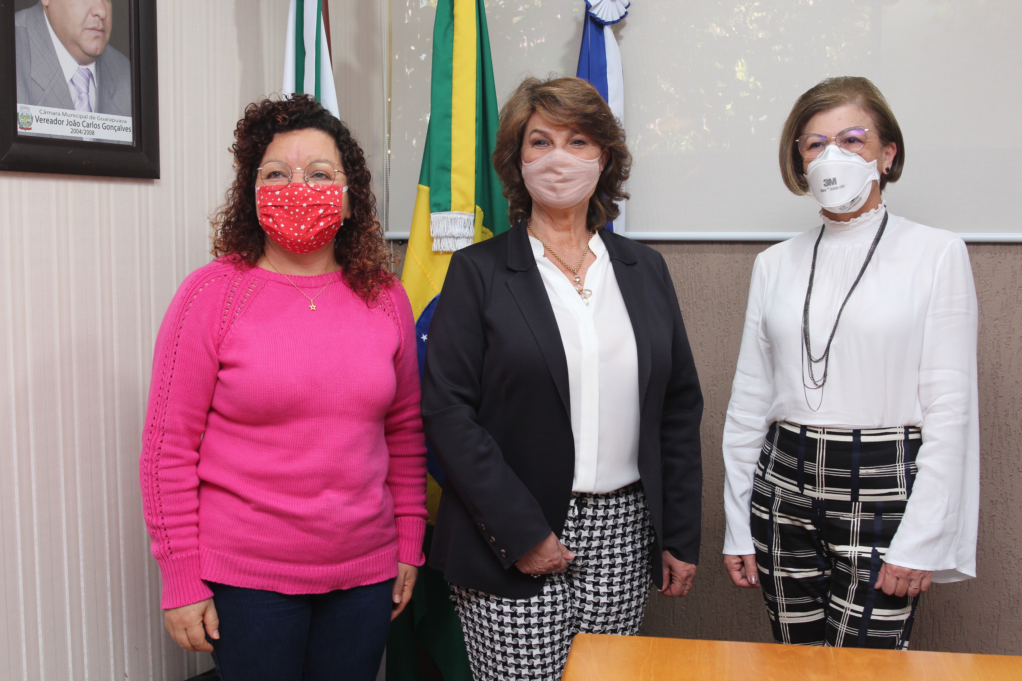 procuradoriadamulher (2).JPG